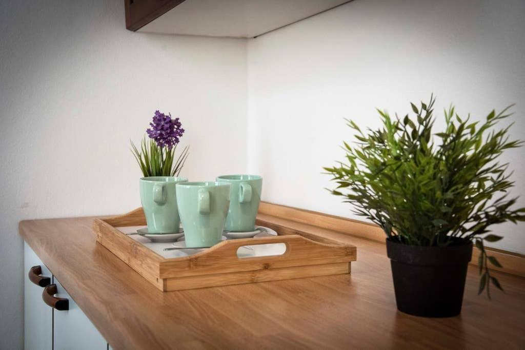 Casa Letizia Apartment Ponsacco Ngoại thất bức ảnh
